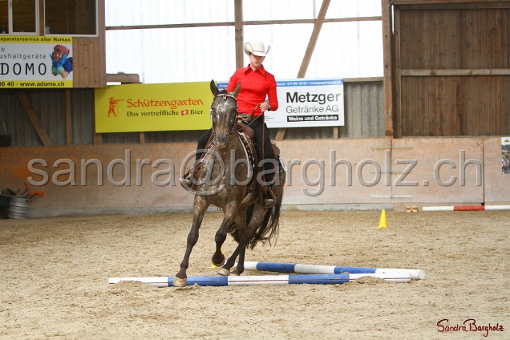 26-ApHC GT_165.jpg